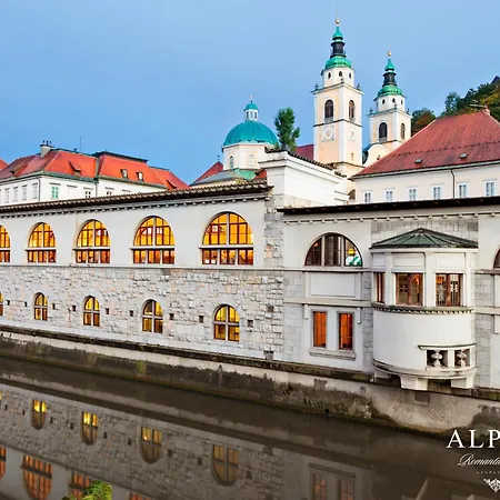 Alpha Romantic דירה