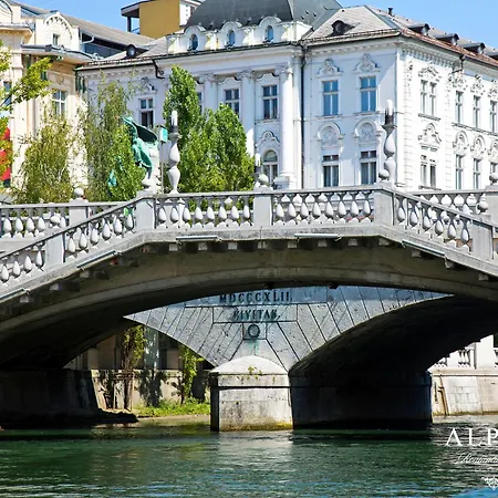 Alpha Romantic Appartement